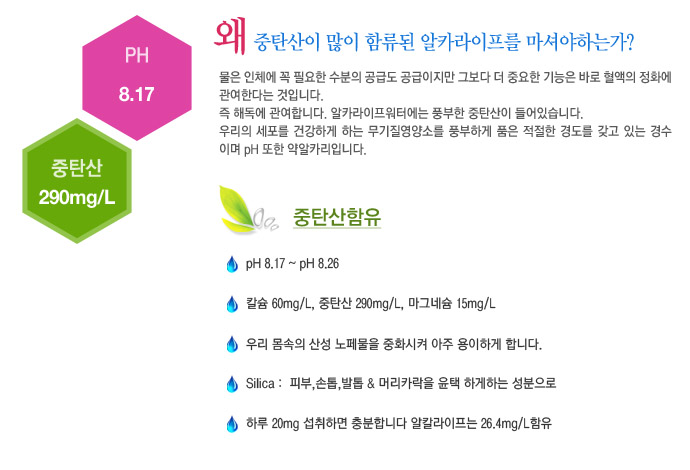 소울바디 이미지