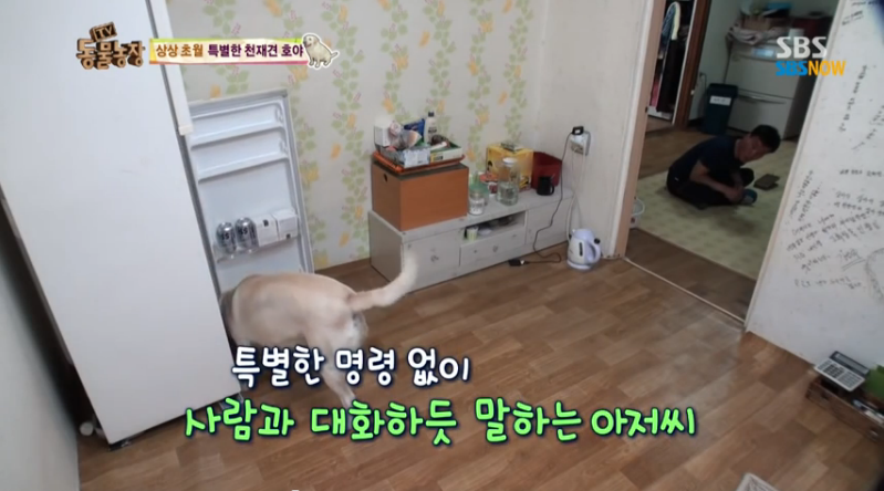 호야농장 이미지