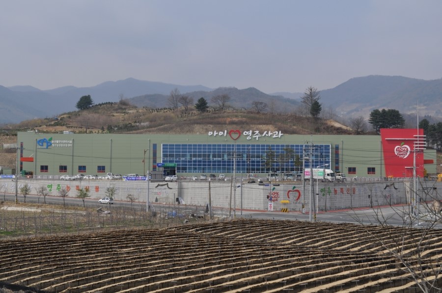 영주농산물유통센터 이미지