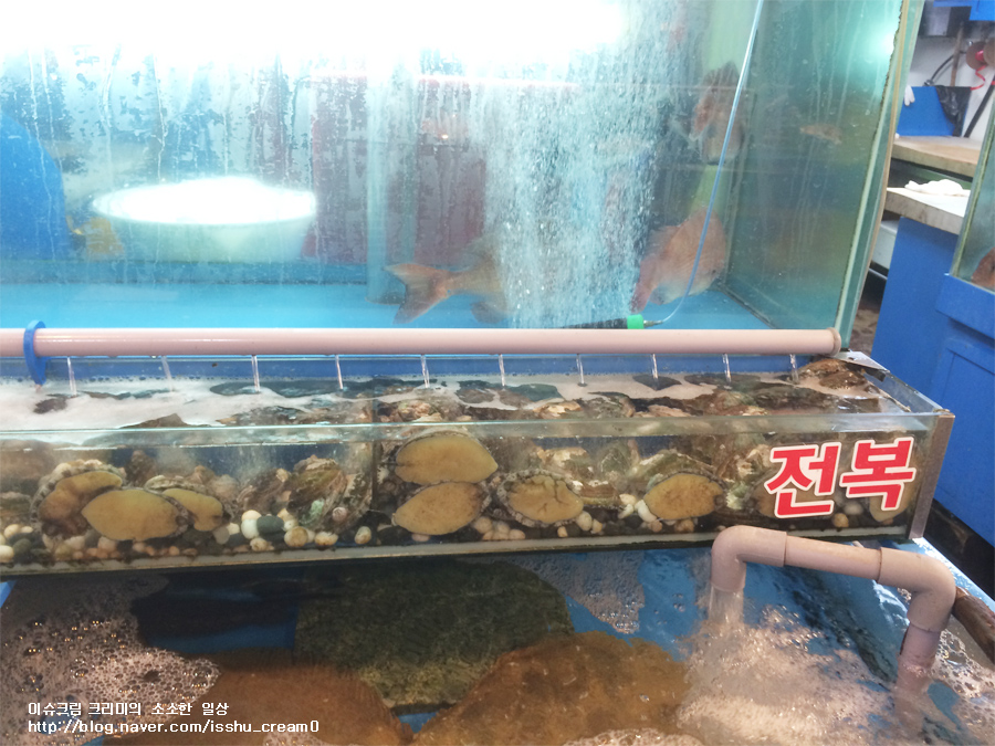 석이유통 이미지