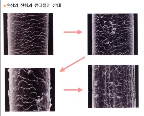 서종우헤어 이미지