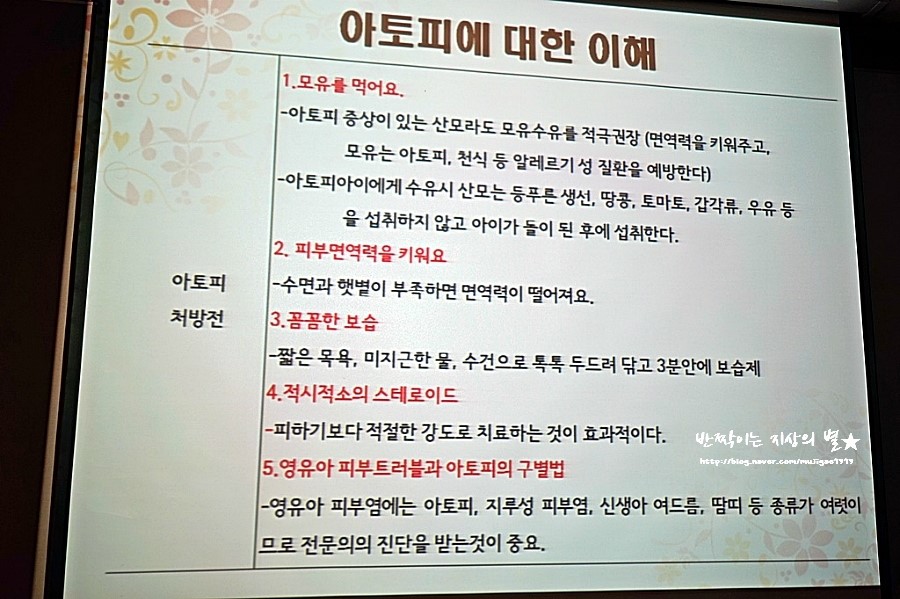 다소미 이미지
