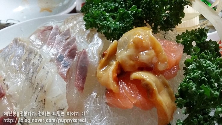 독도회수산 이미지