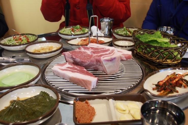 흥분돼지 이미지