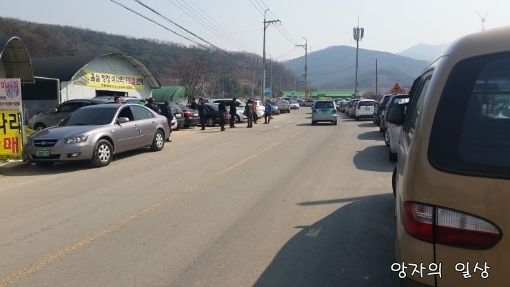 나리화원 이미지
