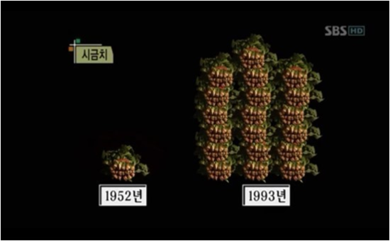 네츄럴핏 이미지