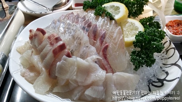독도회수산 이미지