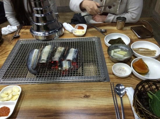 싱싱장어 이미지