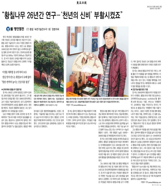 천년의황칠 이미지
