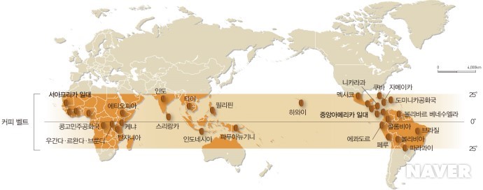 커피벨트 이미지