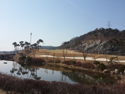 푸른솔과일 이미지