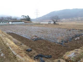 하동식품 이미지
