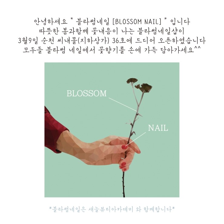 네일블라썸(Nail blossom) 이미지