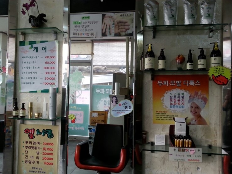 엘샤론코리아 이미지
