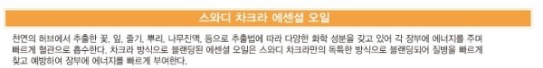 피부만연예인 이미지