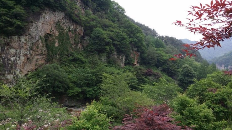경승포장 이미지