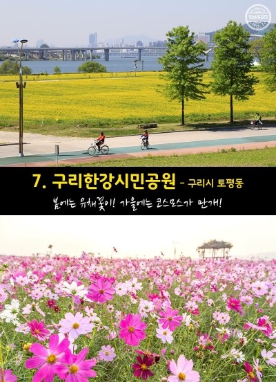 대전유성전자담배 이미지
