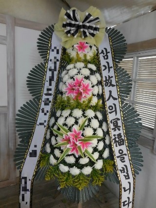 야탑동 351 (분당차병원) 이미지