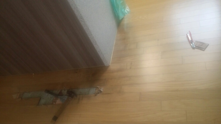 장안수선 이미지