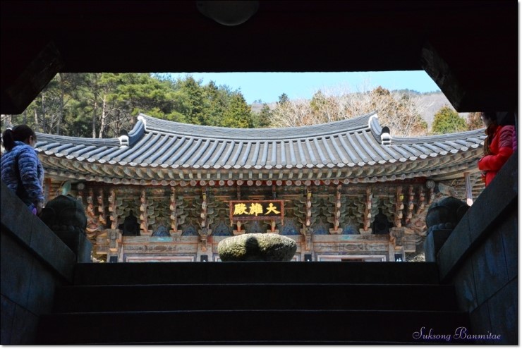 대도장 이미지