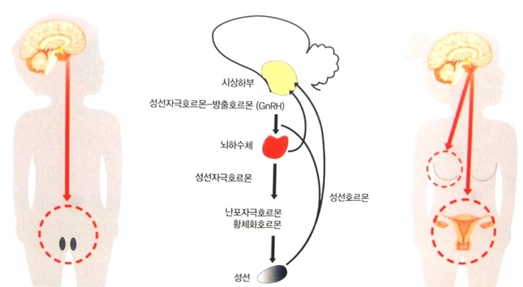한마음크리닉 이미지