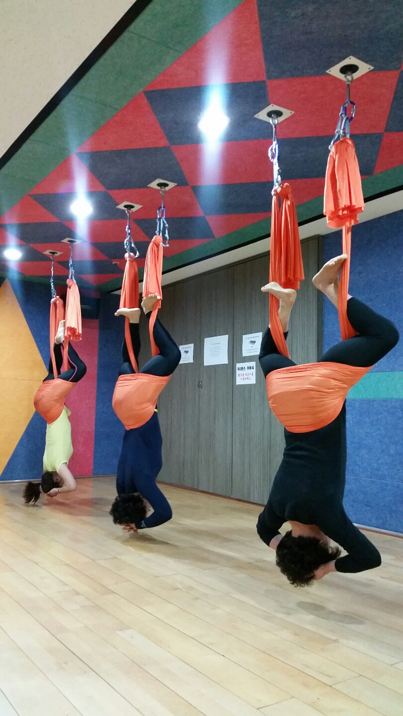 몽키랩 이미지