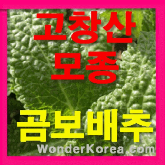 잠이요침구 이미지