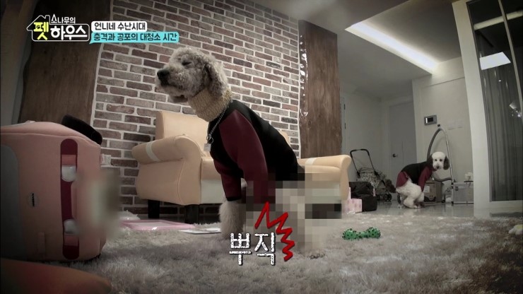 소나무하우스 이미지