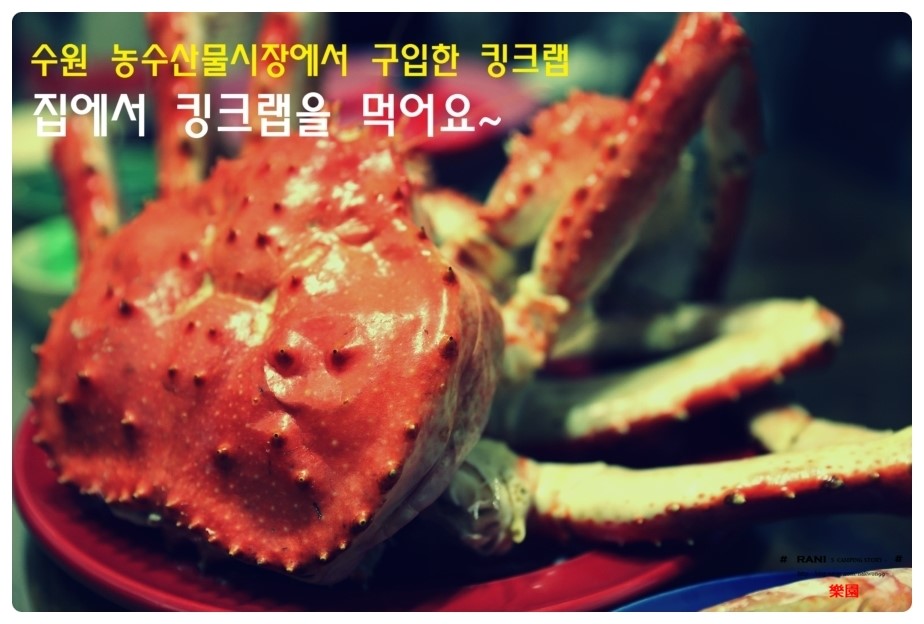 그랩-킹 이미지