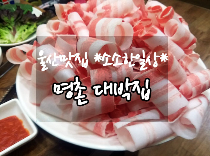 얼쑤대박터지는집 이미지