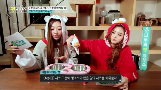 소나무하우스 이미지