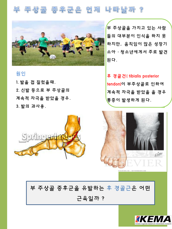바른자세365협동조합 이미지