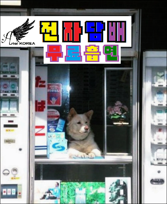 대흥전자 이미지