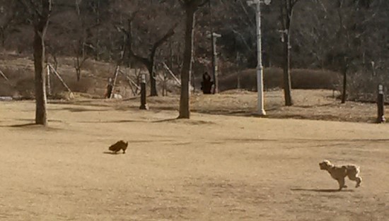 친구야놀자2 이미지