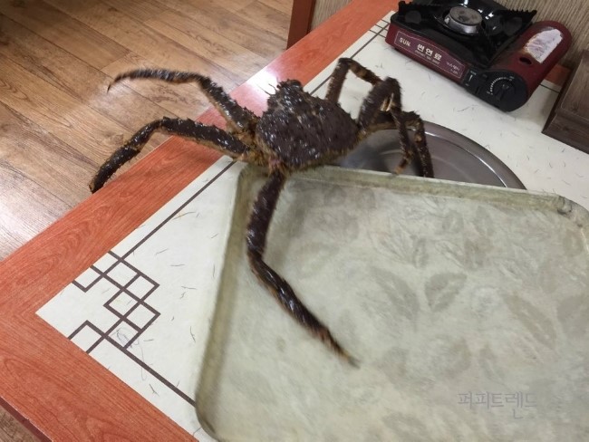 충청도서천회집 이미지