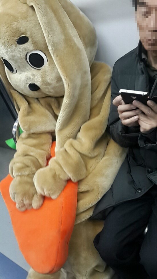 토끼와멍멍이 이미지