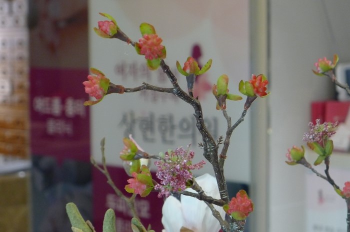 상현한의원 이미지