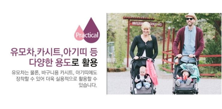 커티스몰 이미지