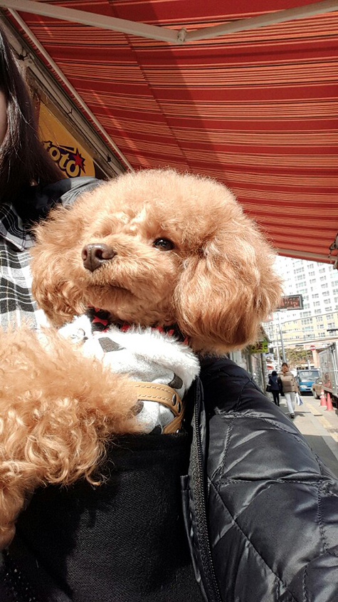 모모세탁소 이미지