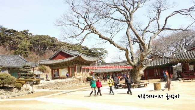 까페봄 이미지