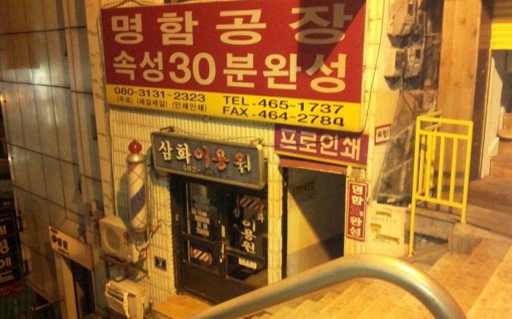 바느질하는고양이 이미지