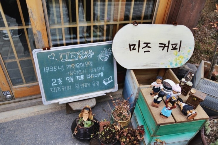 미즈벨트 이미지