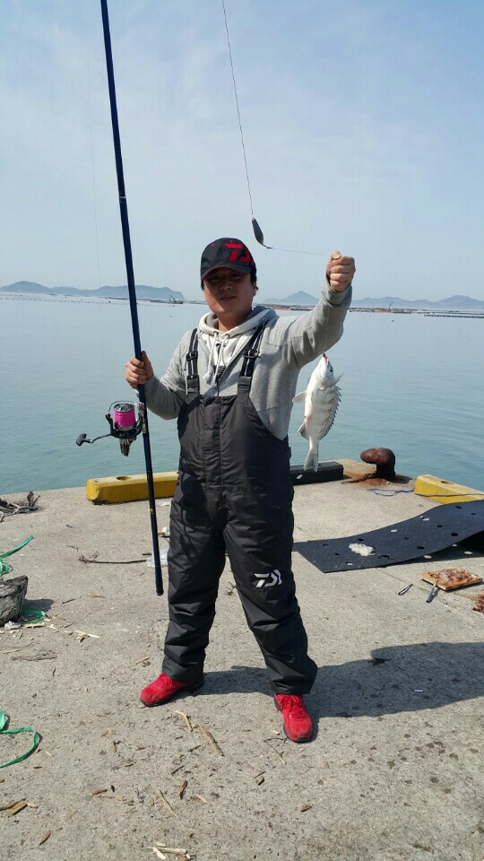 에스엔에프 이미지