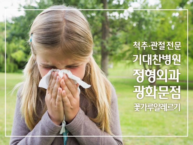 봄날,꽃 이미지