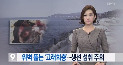 고래초밥 이미지