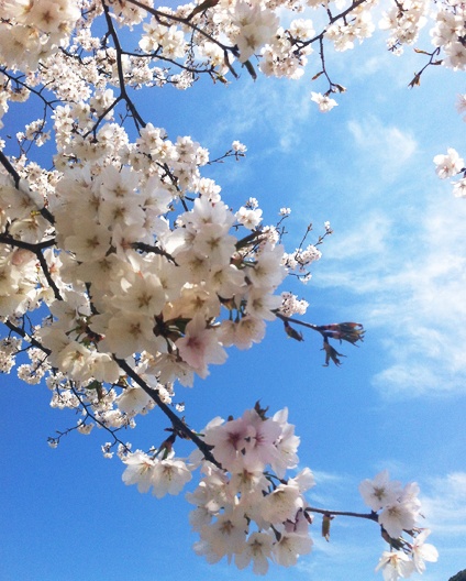 별별반찬 이미지