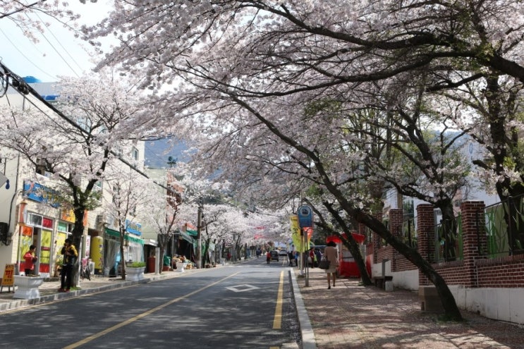 순게스트하우스 이미지