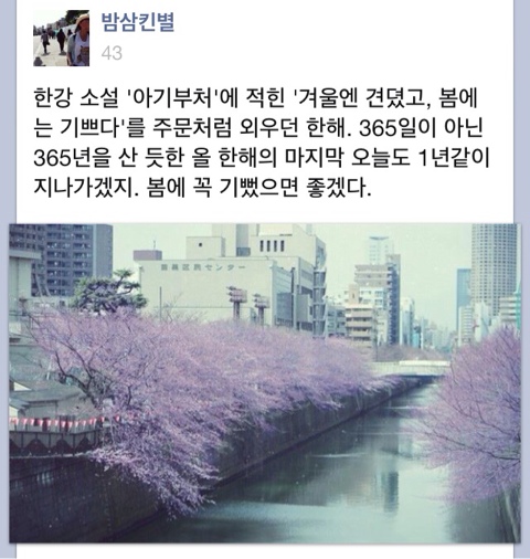 헤어갤러리 이미지