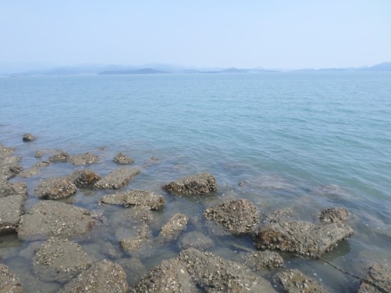 맑은 바닷가 이미지