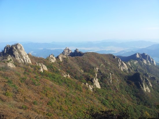 인정법무사합동사무소 이미지